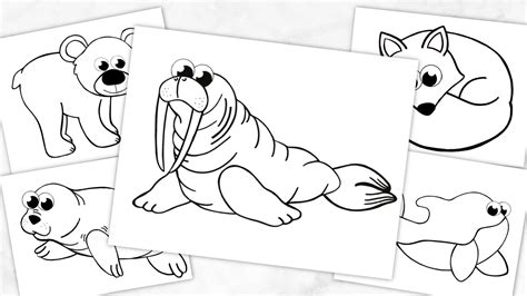 printable arctic animal coloring book simple mom project