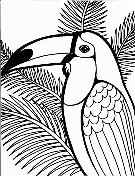 printable parrot coloring pages  kids animal place