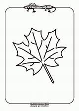 Leaf Template Simple Large Six Coloring Leafs Pages Labeled Toddlers Library Popular sketch template