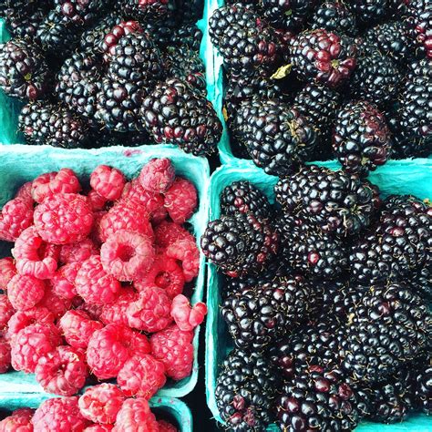 oregon berries   berries oregon fruit