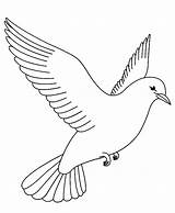 Dove Bird Drawing Pages Printable Coloring Kids Getdrawings sketch template
