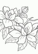 Flowering sketch template