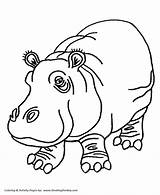 Coloring Hippo Pages Hippopotamus Wild Animals Pink Activity Kids Animal Print Sheet sketch template