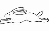 Rabbit Dxf 3axis  sketch template