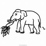 Elefante Elephant Comendo Colorir Ultracoloringpages sketch template