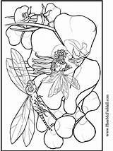 Coloring Dragonfly Pages Pheemcfaddell Fairy Craft Project Printable Colouring Tableau Choisir Un Books sketch template