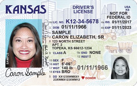 secret  info    check  drivers license feeloperation