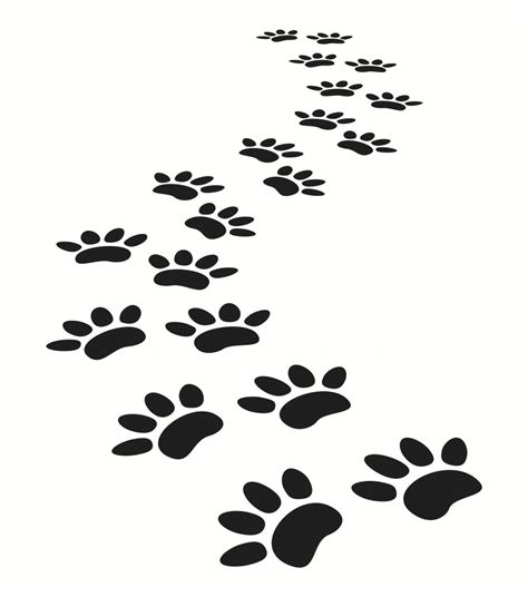 paw print trail   drawing  image