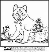 Coloring Pages Husky Puppy Cute Puppies Printable Color Sheets Gif Popular Library Clipart Choose Board Coloringhome Comments 76kb 750px sketch template