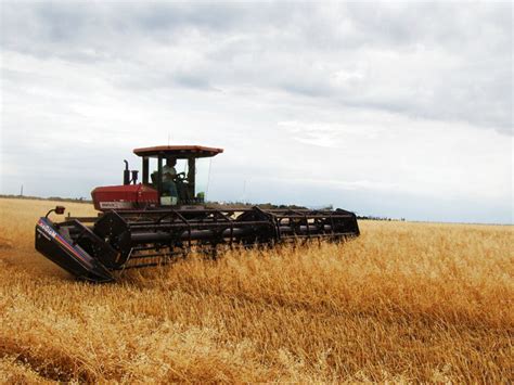 swather  sale  ads   swathers
