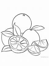 Grapefruit Fruit Coloriage Gaddynippercrayons sketch template