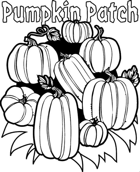 pumpkin patch coloring book  coloring pages