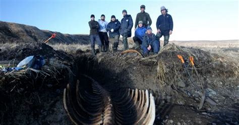 remains of extinct giant sea monster found on remote russian island