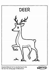 Deer Coloring Worksheets Kidloland Printable Kids Worksheet sketch template