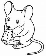 Coloring Cheese Mouse Animals Pages Popular sketch template
