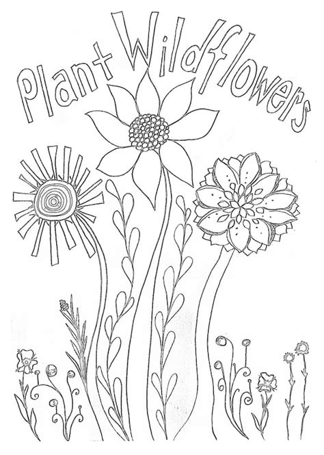 wildflowers printable coloring page