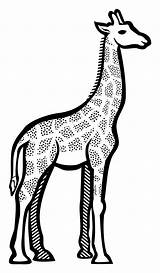 Clipart Giraffe Outline Clipground Cliparts sketch template
