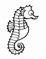 Coloring Seahorse Clipart Pages Template Printable Outline Drawing Print Line Easy Realistic Kids Sea Simple Animal Horse Color Cute Eye sketch template