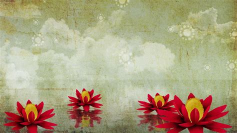 lotus flower background 54 images