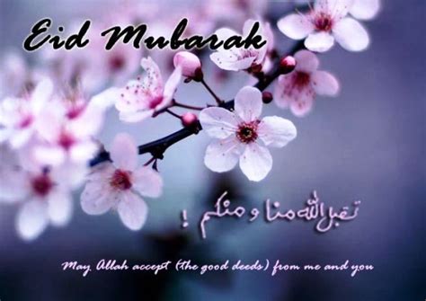 eid mubarak  quotes wishes    entertainmentmesh