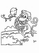Kleurplaten Scimmie Aap Bananen Tros Tiere Kleurplaat Hewan Mewarnai Binatang Malvorlagen Kinderen Disneyfiguren Animierte Bergerak Affe Titel Malvorlage Titanic Bekende sketch template