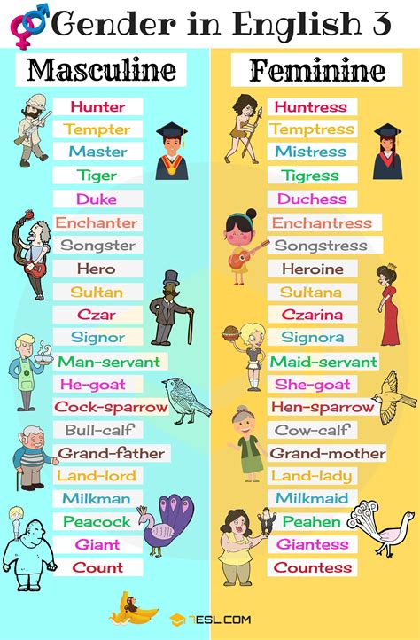 gender  nouns masculine  feminine list  english