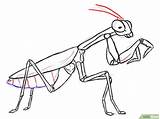 Mantis Praying Religiosa Deus Louva Drawings Gottesanbeterin Sketches Outline Insectos Animais Mantide Insetos Cinderela Mantises Forb Cientificos Prey Acessar sketch template