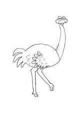 Ostrich Coloring Pages Animals Printable Deve Okul Nest Eggs Color Gif Print Bird Kids Library Clipart Popular Birds Ws sketch template