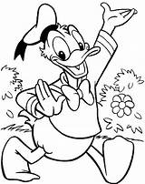 Donald Duck Coloring Pages Mouse Mickey Library Clipart Imagini Printable sketch template