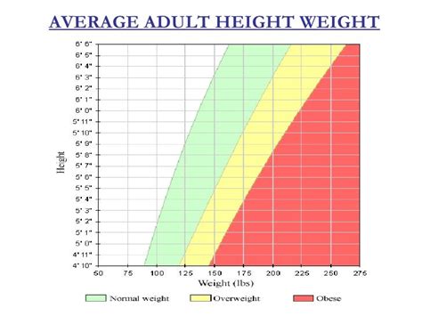 Average Adult Height Weight