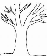 Tree Outline Printable Leaves Clip Clipart Template Trees Coloring Trunk Without Leafless Library Print Palm Drawing Cliparts Kids Pages Stem sketch template