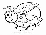 Ladybug Drawing Clipart Clip Coloring Library Pages Printable sketch template