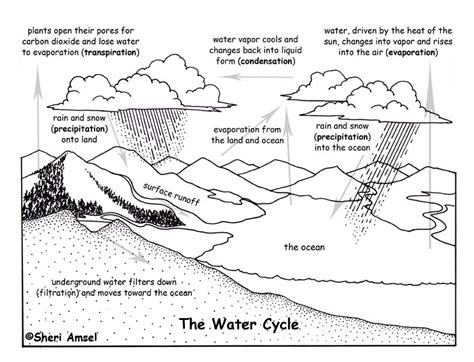 water cycle