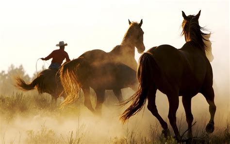 western cowboy wallpaper  images
