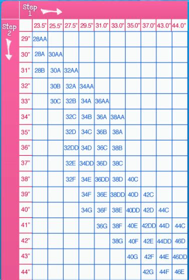 Bra Cup Size Chart Smallest To Largest Chart Walls