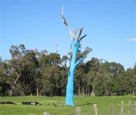 blue trees  western australia  helping raise awareness  suicide