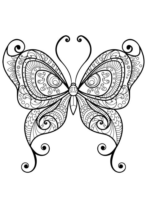 insetti  farfalle  insetti disegni da colorare  adulti