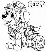 Paw Patrol Malvorlagen Pups Skye sketch template