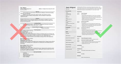 resume format templates examples