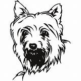 Terrier Clipart Yorkie Dog Yorkshire Scottie Coloring Pages Puppy Clip Dogs Cairn Boxer Drawing Yorkies Drawings Cliparts Decal Face Wall sketch template