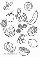 Obst Malvorlage Malvorlagen Essen Kostenlos Trinken Sorten sketch template