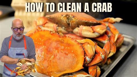 learn   clean  dungeness crab youtube