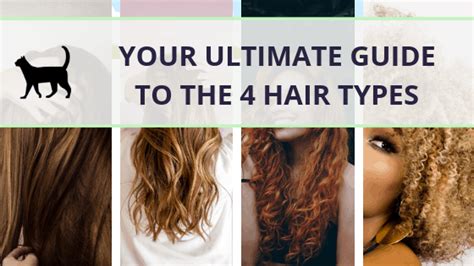 ultimate guide    hair types