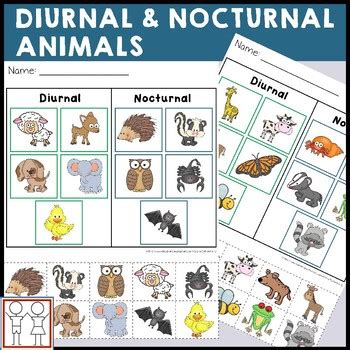 diurnal  nocturnal animals worksheets  catherine  tpt