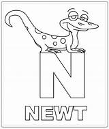 Newt Coloring Pages Color Animal Animals Designlooter 37kb sketch template