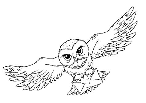 owl coloring pages picgifscom