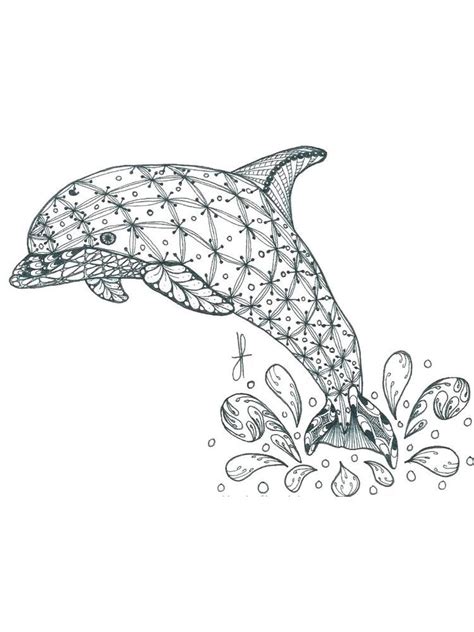 mermaid dolphin coloring pages    collection  dolphin
