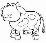 Cow Coloring Thoughtful Color Coloringcrew Clipart Clipartbest Online sketch template