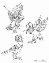 Harpies Mythologie Grecque Hippogriff Arpias Hellokids Coloriages Getcolorings Criaturas Dios Hades Infernales Winged Parfait Griega sketch template