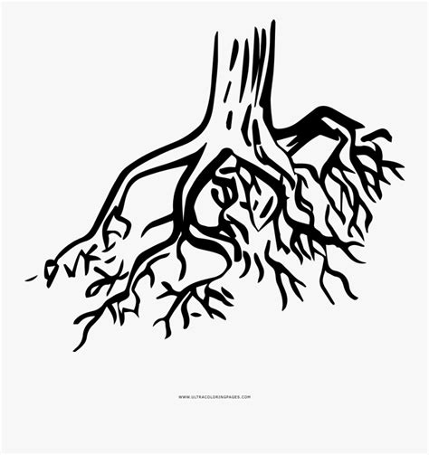 tree roots coloring page tree root icon transparent